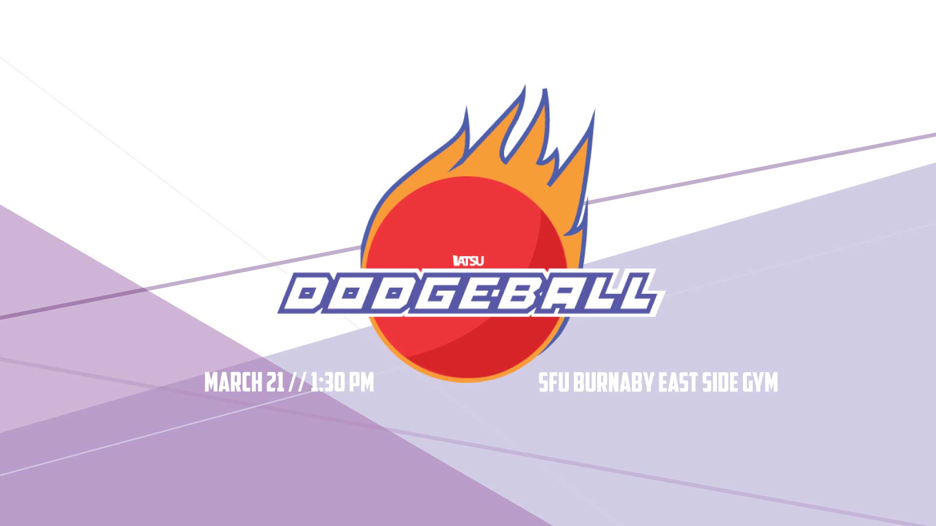 2020 dodgeball banner